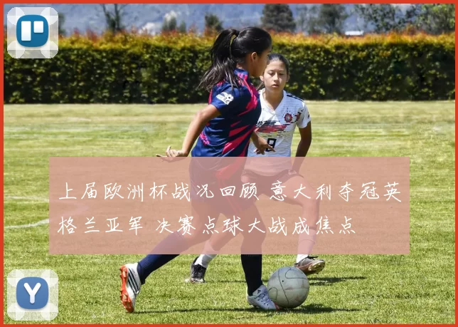 上届欧洲杯战况回顾 意大利夺冠英格兰亚军 决赛点球大战成焦点