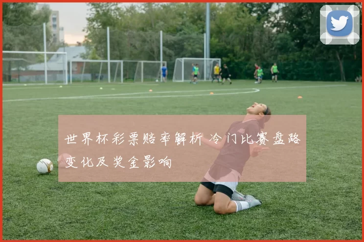 世界杯彩票赔率解析 冷门比赛盘路变化及奖金影响