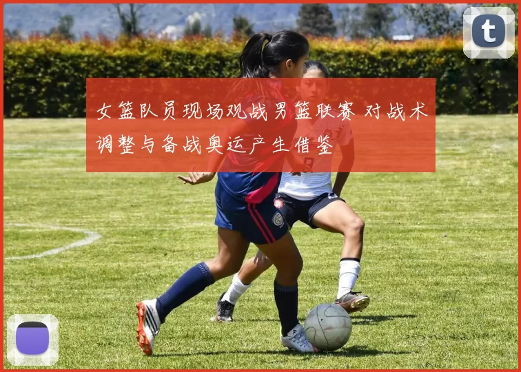 女篮队员现场观战男篮联赛 对战术调整与备战奥运产生借鉴