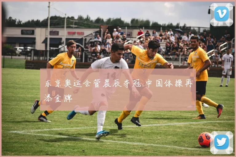 东京奥运会管晨辰夺冠 中国体操再添金牌